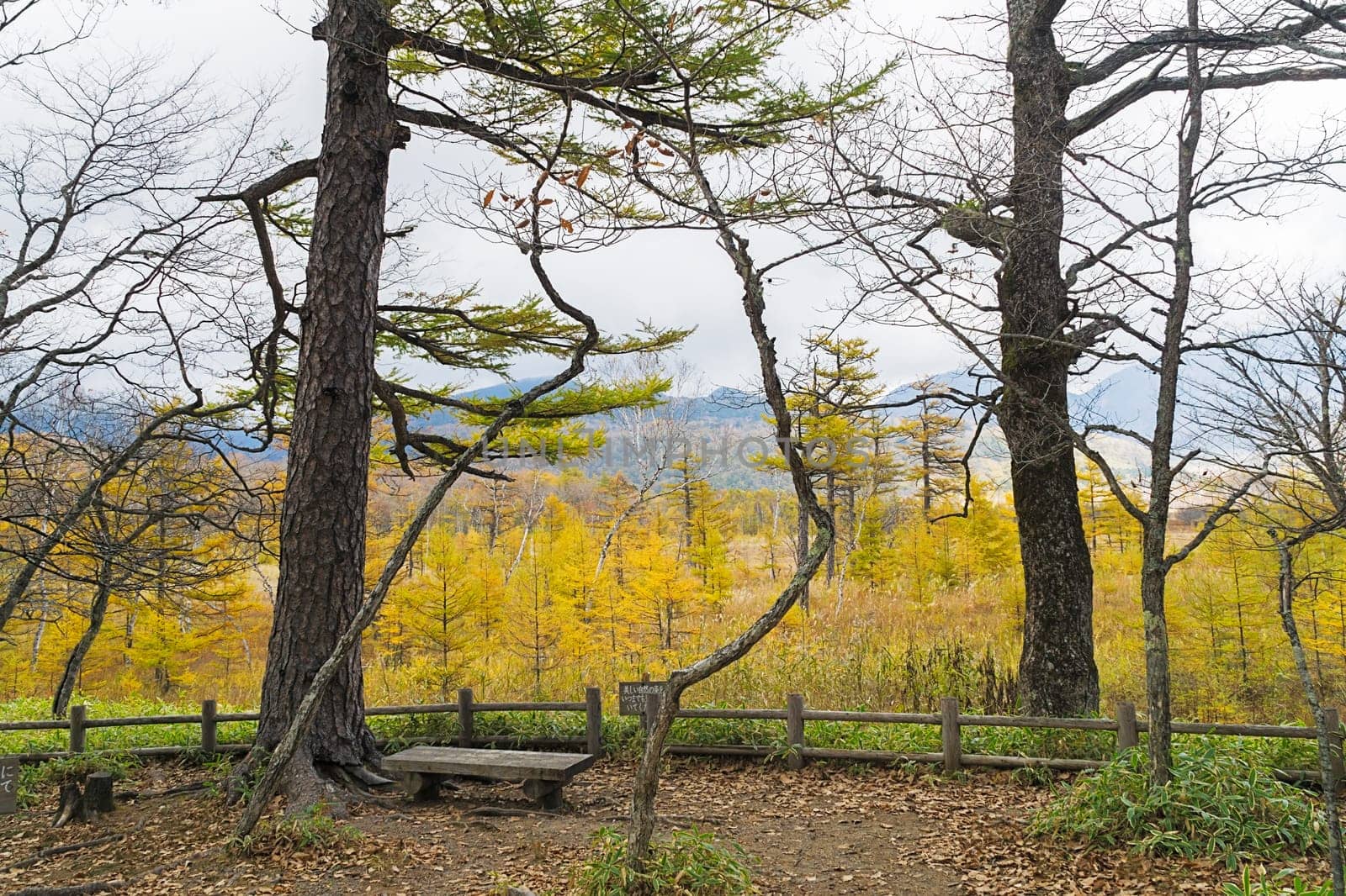 Nikko is well known for its scenic beauty surrounded by natural attractions such as mountains, marshlands, and lakes. It is also very popular for those who love to hiking or trekking. This photo was shot in autumn.