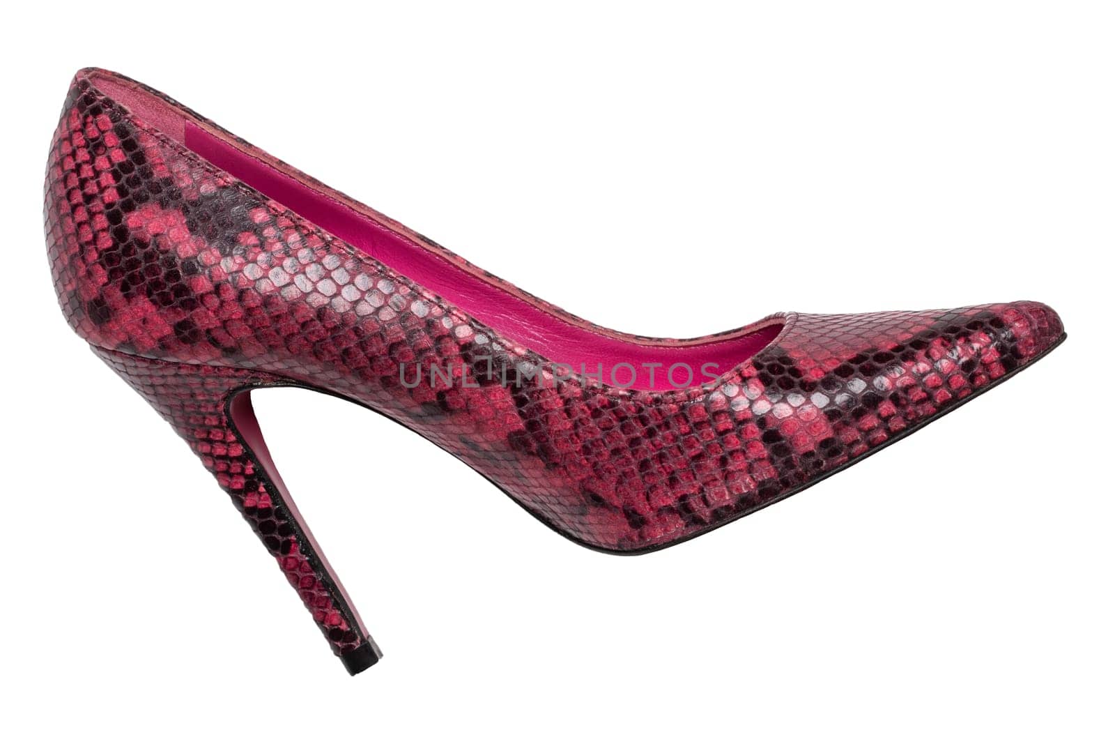 Fashionable female high heels. A pair of purple high-heeled female shoes isolated on a white background. Shoes from snakeskin imitation.