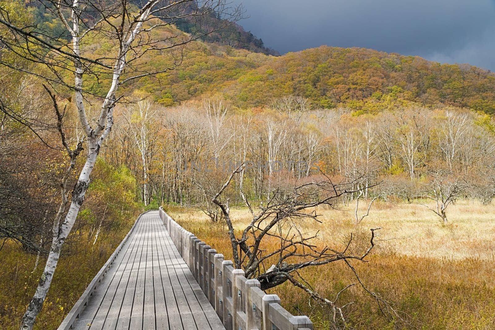 Nikko is well known for its scenic beauty surrounded by natural attractions such as mountains, marshlands, and lakes. It is also very popular for those who love to hiking or trekking. This photo was shot in autumn.