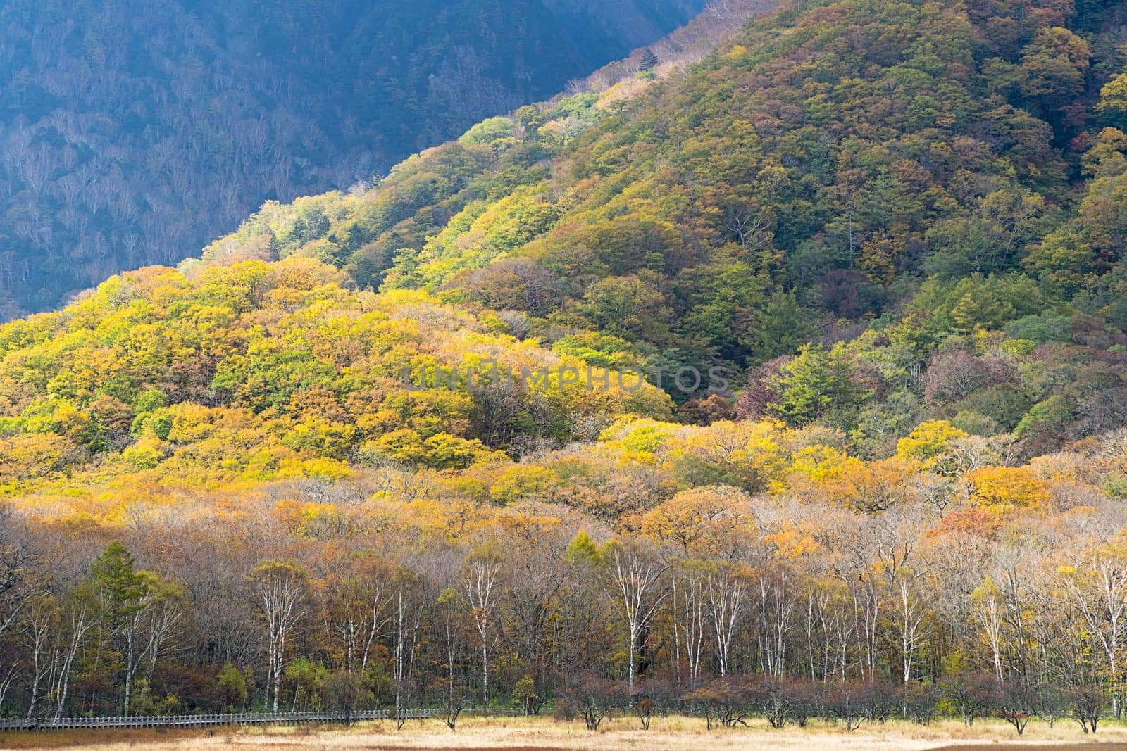 Nikko is well known for its scenic beauty surrounded by natural attractions such as mountains, marshlands, and lakes. It is also very popular for those who love to hiking or trekking. This photo was shot in autumn.