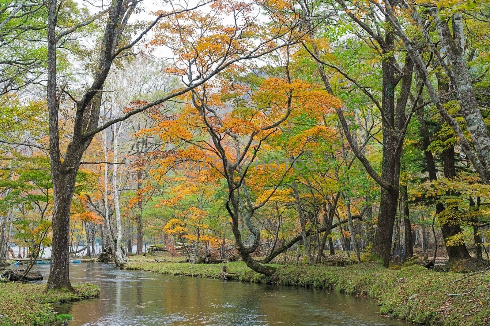 Nikko is well known for its scenic beauty surrounded by natural attractions such as mountains, marshlands, and lakes. It is also very popular for those who love to hiking or trekking. This photo was shot in autumn.