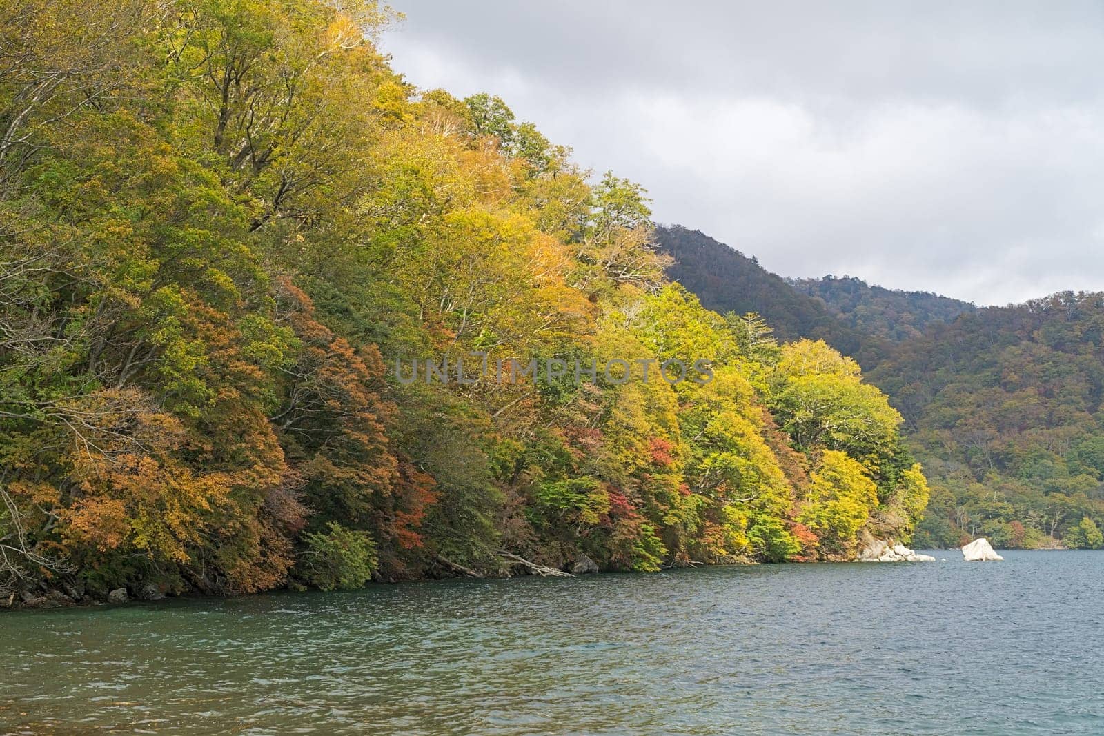 Nikko is well known for its scenic beauty surrounded by natural attractions such as mountains, marshlands, and lakes. It is also very popular for those who love to hiking or trekking. This photo was shot in autumn.