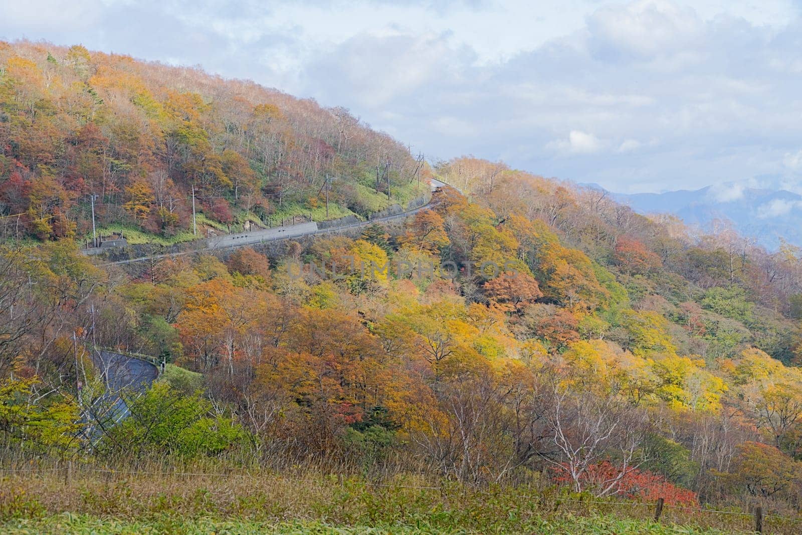 Kirifuri highland is the area on the southeastern side of Mount Akanagi. It is located to the north within a range of 3 to 8 km from central Nikko city. Most of area is located at the level of over 1,000 meters, and grassland and forests spread.