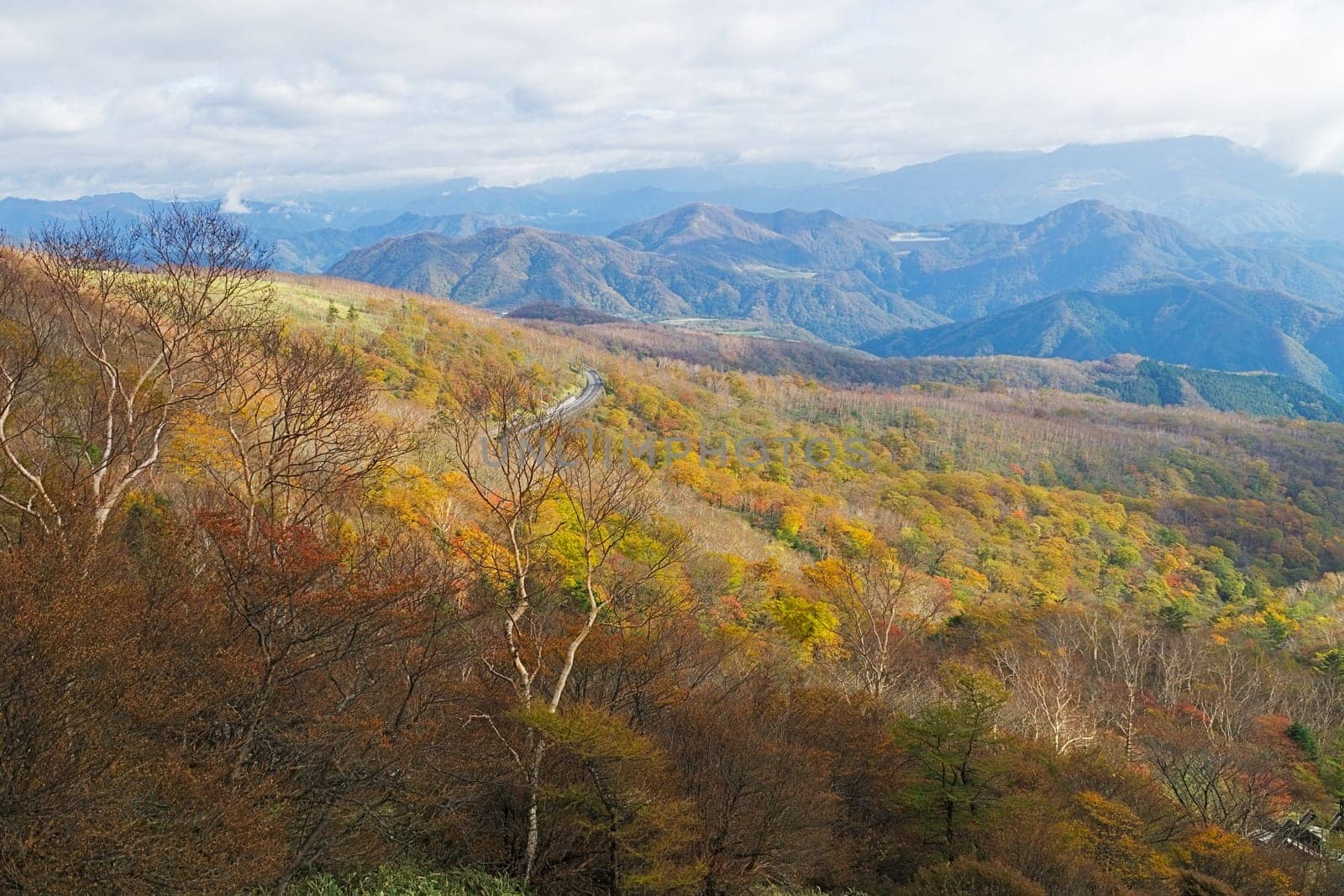 Kirifuri highland is the area on the southeastern side of Mount Akanagi. It is located to the north within a range of 3 to 8 km from central Nikko city. Most of area is located at the level of over 1,000 meters, and grassland and forests spread.