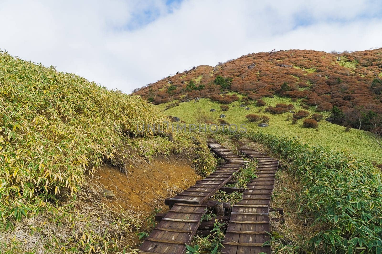 Kirifuri highland is the area on the southeastern side of Mount Akanagi. It is located to the north within a range of 3 to 8 km from central Nikko city. Most of area is located at the level of over 1,000 meters, and grassland and forests spread.