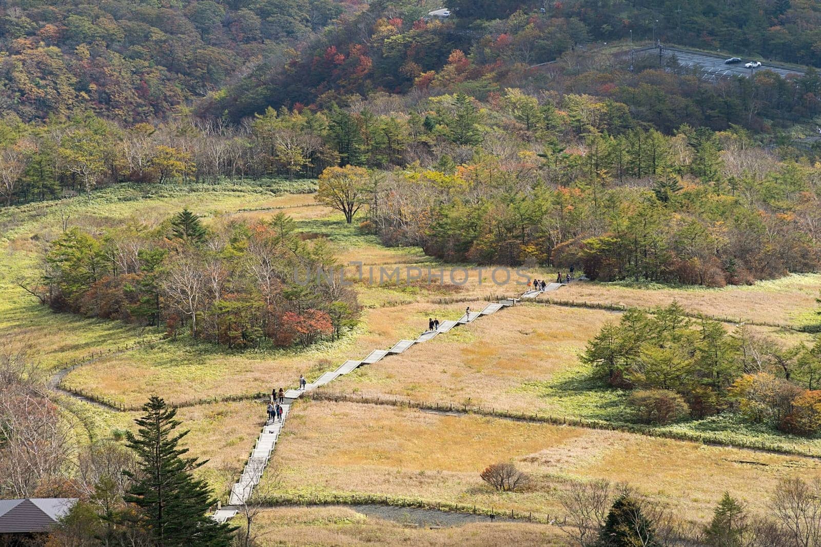 Kirifuri highland is the area on the southeastern side of Mount Akanagi. It is located to the north within a range of 3 to 8 km from central Nikko city. Most of area is located at the level of over 1,000 meters, and grassland and forests spread.
