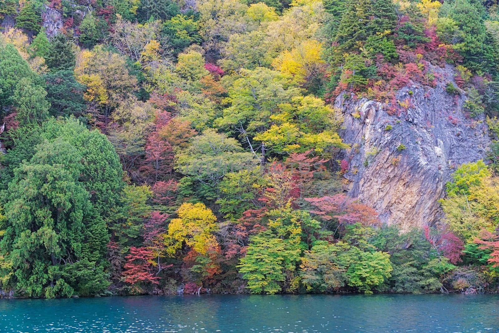 Lake Chuzenji is a scenic lake in the mountains above the town of Nikko. It is located at the foot of Mount Nantai, Nikko's sacred volcano, whose eruption blocked the valley below, thereby creating Lake Chuzenji about 20,000 years ago. This photo was shot in autumn