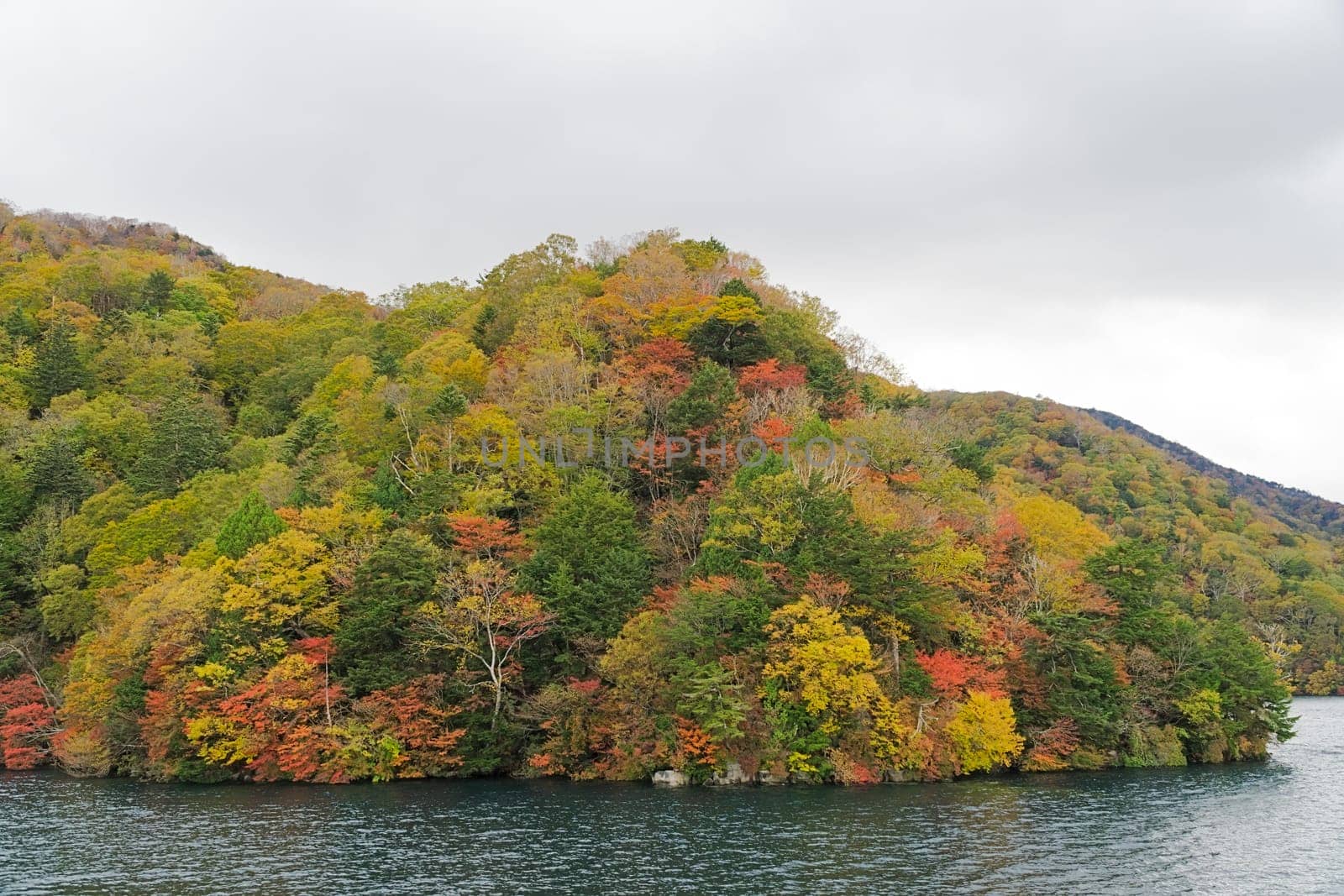 Lake Chuzenji is a scenic lake in the mountains above the town of Nikko. It is located at the foot of Mount Nantai, Nikko's sacred volcano, whose eruption blocked the valley below, thereby creating Lake Chuzenji about 20,000 years ago. This photo was shot in autumn