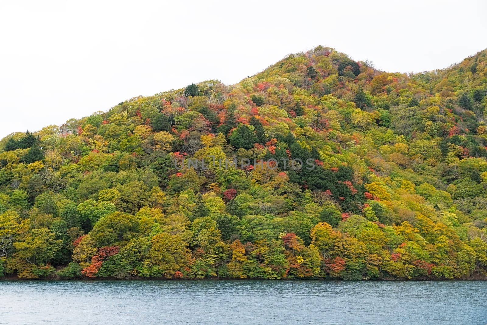 Lake Chuzenji is a scenic lake in the mountains above the town of Nikko. It is located at the foot of Mount Nantai, Nikko's sacred volcano, whose eruption blocked the valley below, thereby creating Lake Chuzenji about 20,000 years ago. This photo was shot in autumn