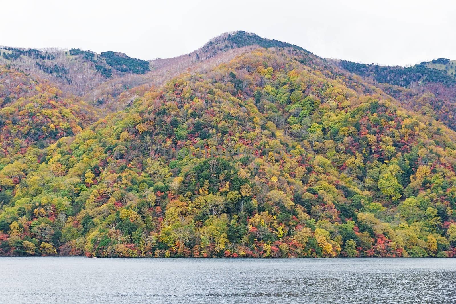 Lake Chuzenji is a scenic lake in the mountains above the town of Nikko. It is located at the foot of Mount Nantai, Nikko's sacred volcano, whose eruption blocked the valley below, thereby creating Lake Chuzenji about 20,000 years ago. This photo was shot in autumn
