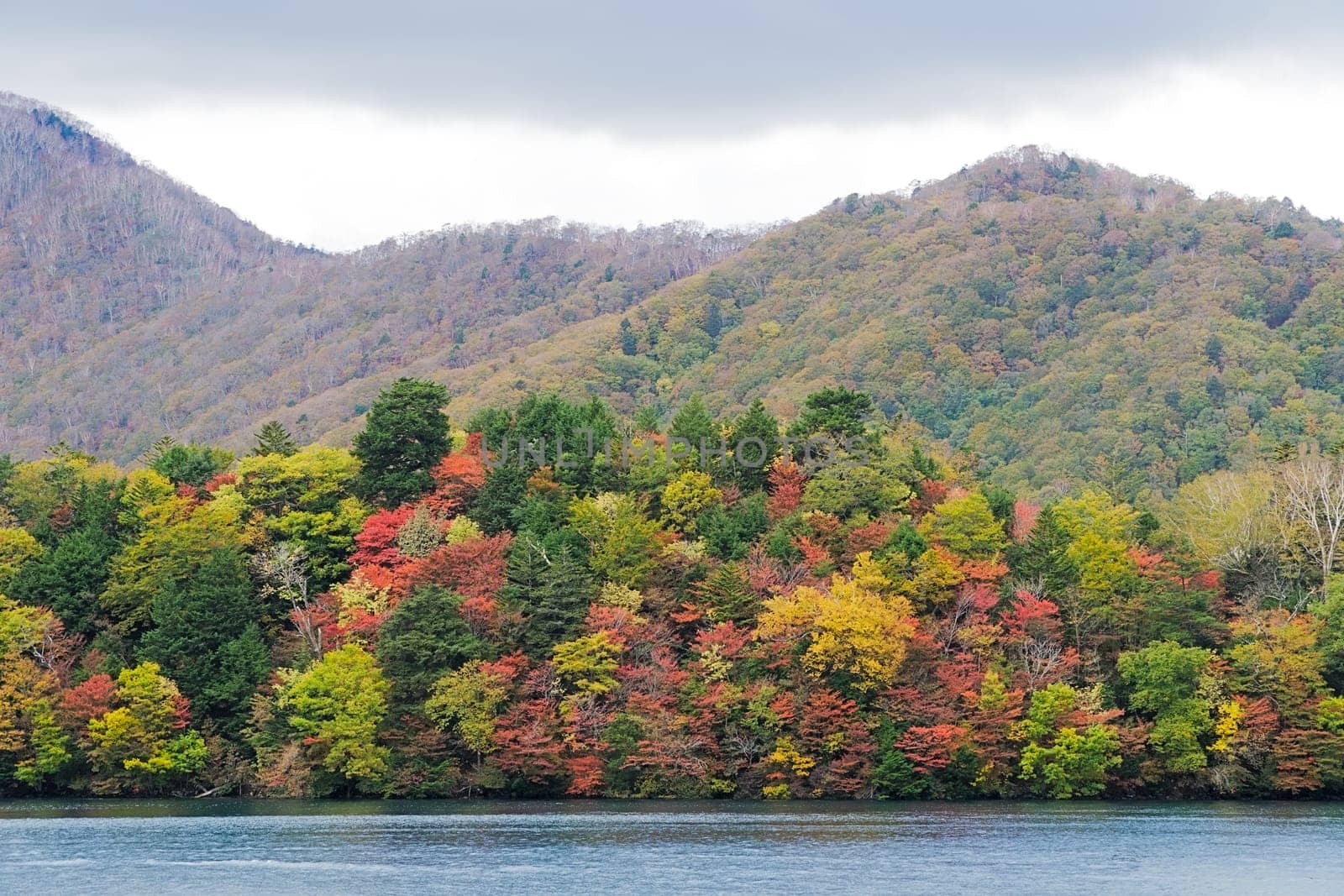 Lake Chuzenji is a scenic lake in the mountains above the town of Nikko. It is located at the foot of Mount Nantai, Nikko's sacred volcano, whose eruption blocked the valley below, thereby creating Lake Chuzenji about 20,000 years ago. This photo was shot in autumn