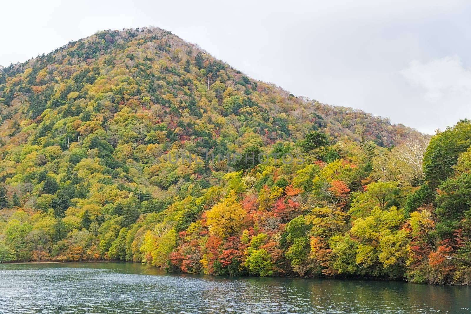 Lake Chuzenji is a scenic lake in the mountains above the town of Nikko. It is located at the foot of Mount Nantai, Nikko's sacred volcano, whose eruption blocked the valley below, thereby creating Lake Chuzenji about 20,000 years ago. This photo was shot in autumn