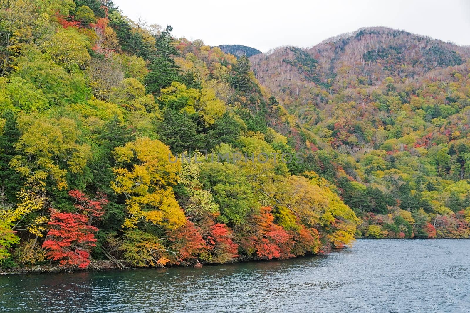 Lake Chuzenji is a scenic lake in the mountains above the town of Nikko. It is located at the foot of Mount Nantai, Nikko's sacred volcano, whose eruption blocked the valley below, thereby creating Lake Chuzenji about 20,000 years ago. This photo was shot in autumn