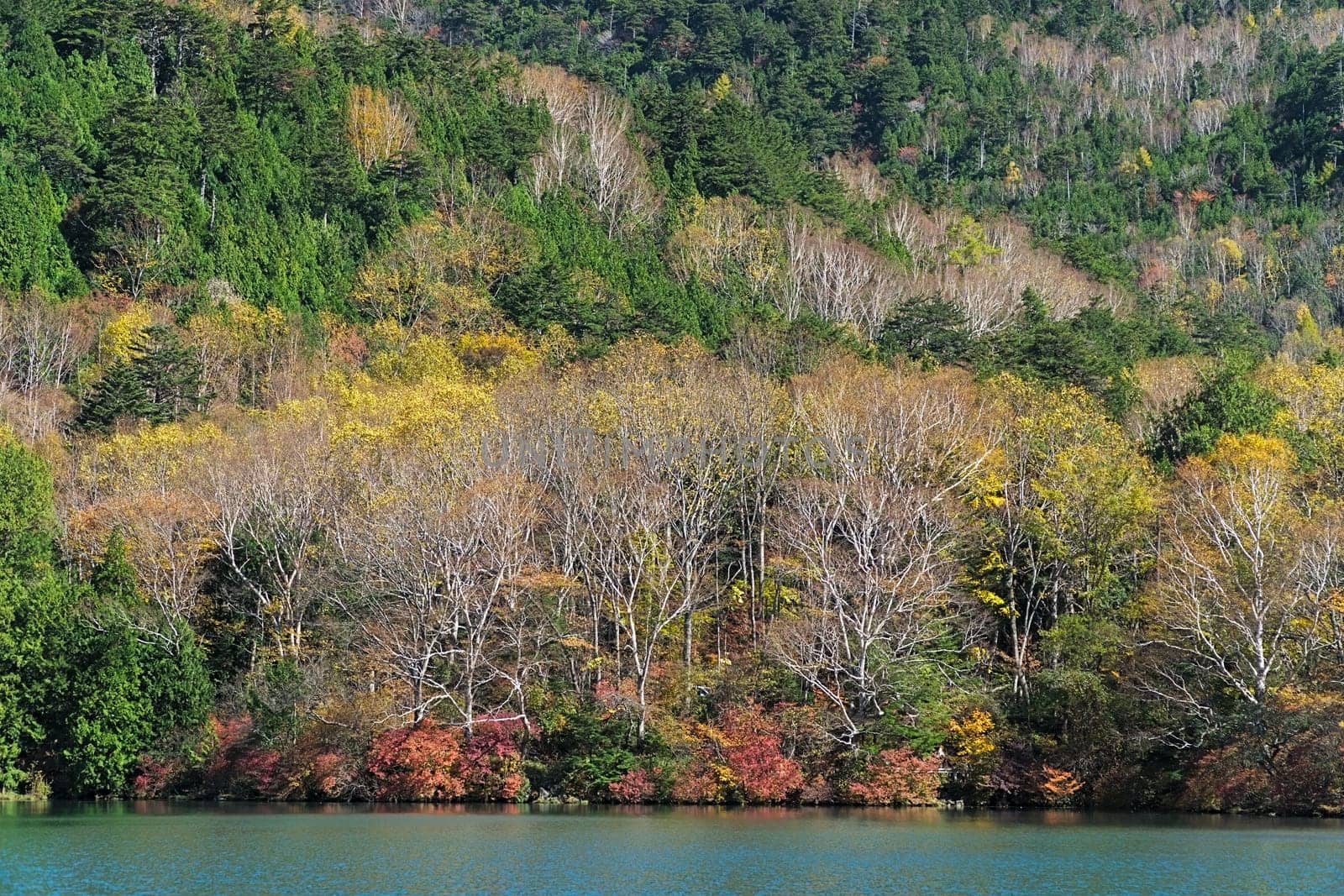 Lake Yunoko is a small lake located just north of Senjogahara marsh and it is located about 6 km north-northwest of Lake Chuzenji. This photo was shot in autumn.