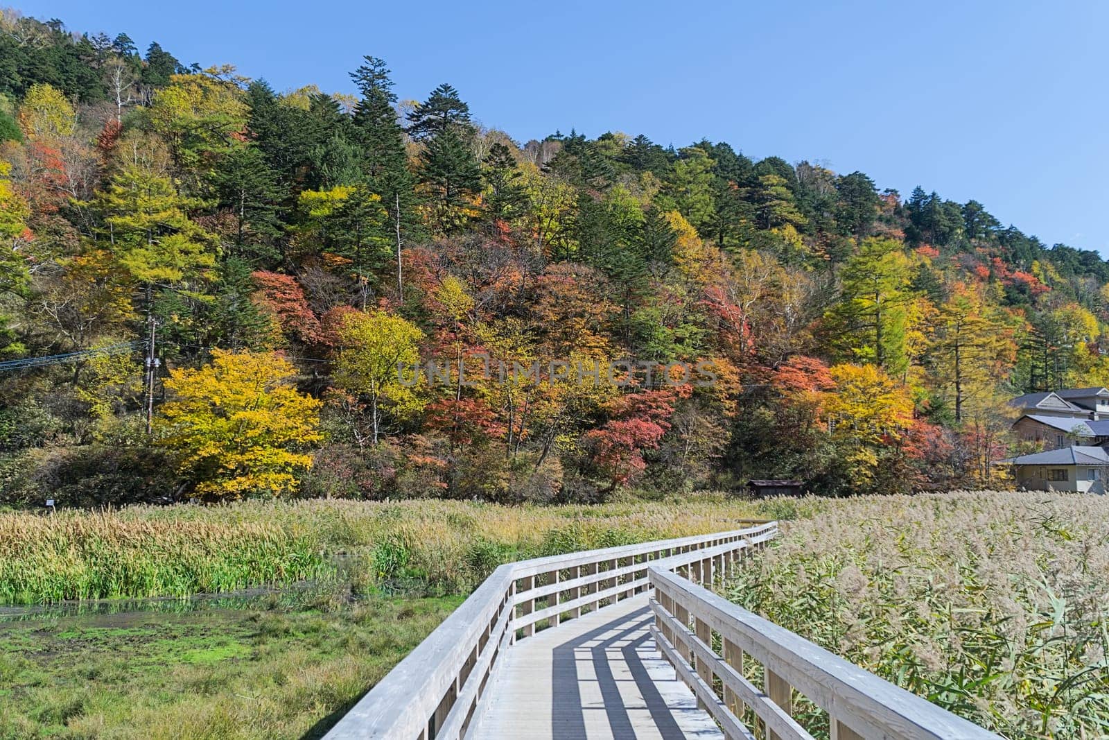 Yumoto is a small hot spring town in the back of Okunikko and part of Nikko National Park. The town is attractively located next to Lake Yunoko and consists mainly of ryokan with hot spring baths.