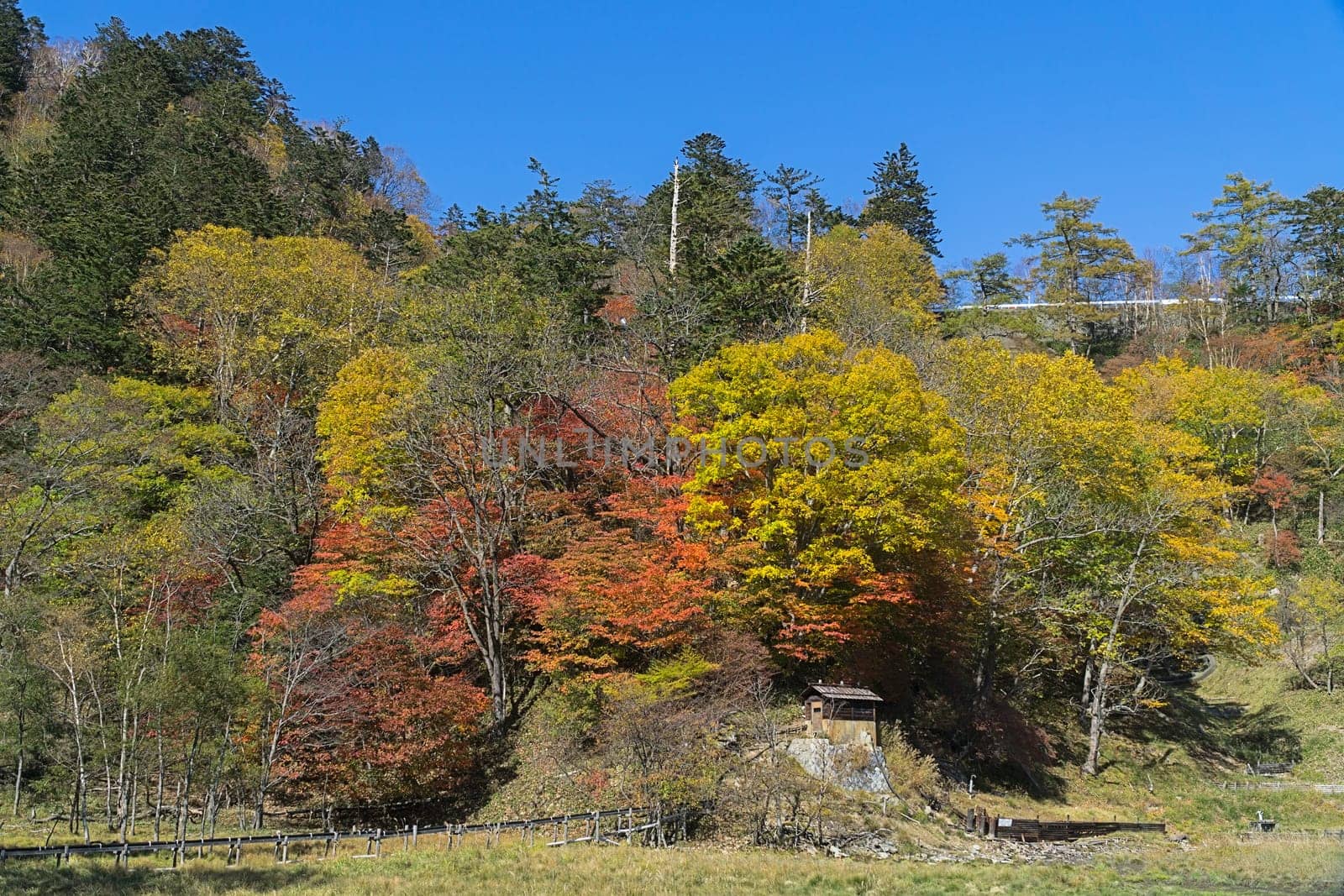 Yumoto is a small hot spring town in the back of Okunikko and part of Nikko National Park. The town is attractively located next to Lake Yunoko and consists mainly of ryokan with hot spring baths.