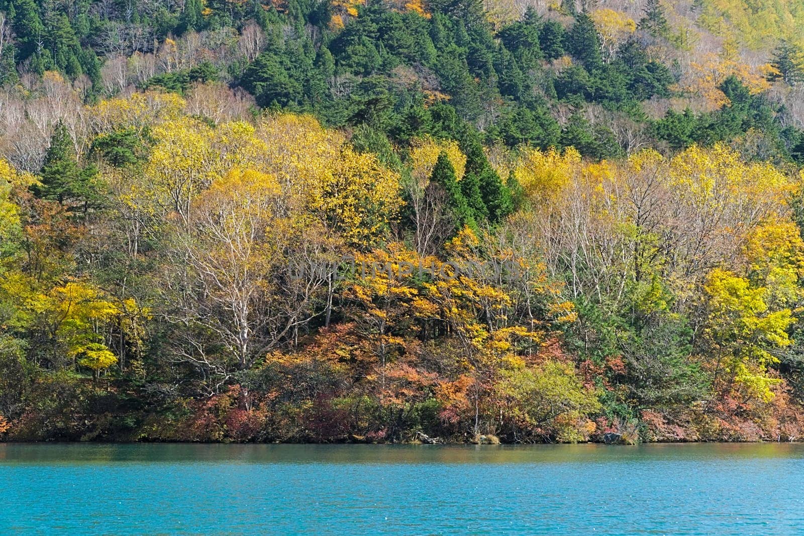 Lake Yunoko is a small lake located just north of Senjogahara marsh and it is located about 6 km north-northwest of Lake Chuzenji. This photo was shot in autumn.