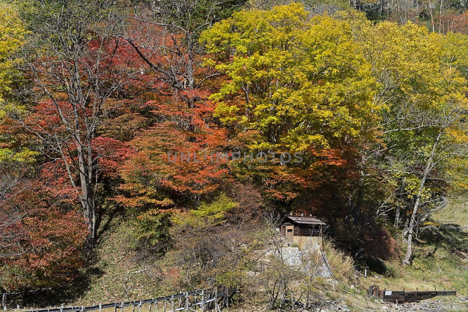 Yumoto is a small hot spring town in the back of Okunikko and part of Nikko National Park. The town is attractively located next to Lake Yunoko and consists mainly of ryokan with hot spring baths.