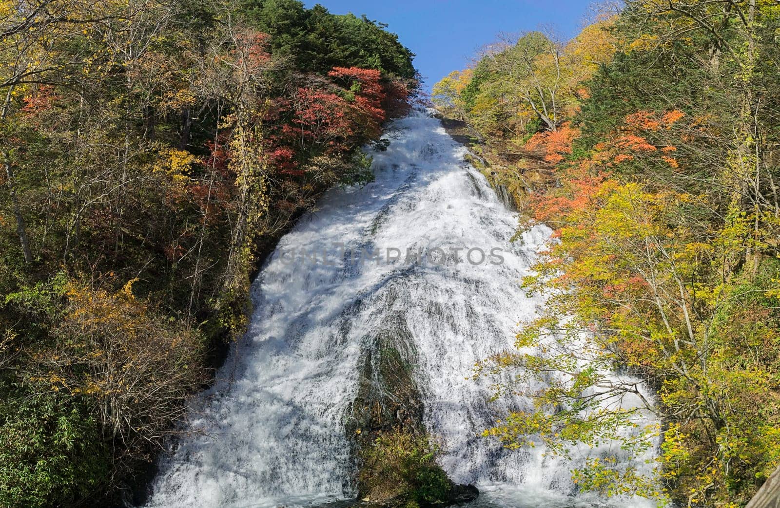 Yutaki waterfall in Nikko, Tochigi Prefecture has huge water flow down from the top especially during rainy days. There are viewing platforms halfway down the staircase by the side. It looks much prettier when there are colored leaves on both sides of the waterfall.