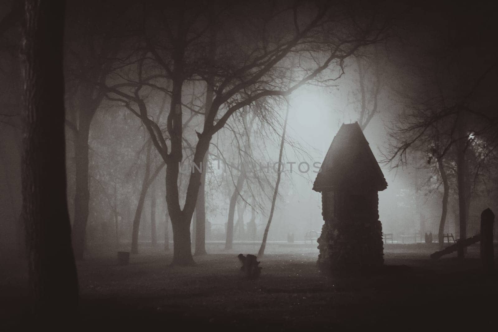Horror scene of a autumn fog. LIGHTING FILM NOIR STYLE