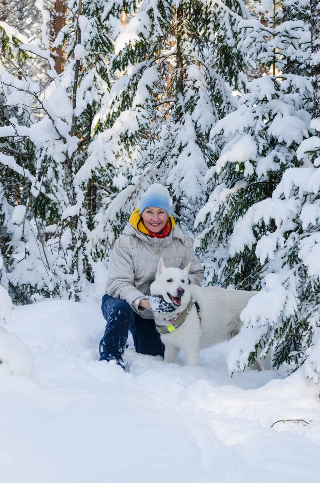 Joyful woman with a white dog in the winter snow-covered forest