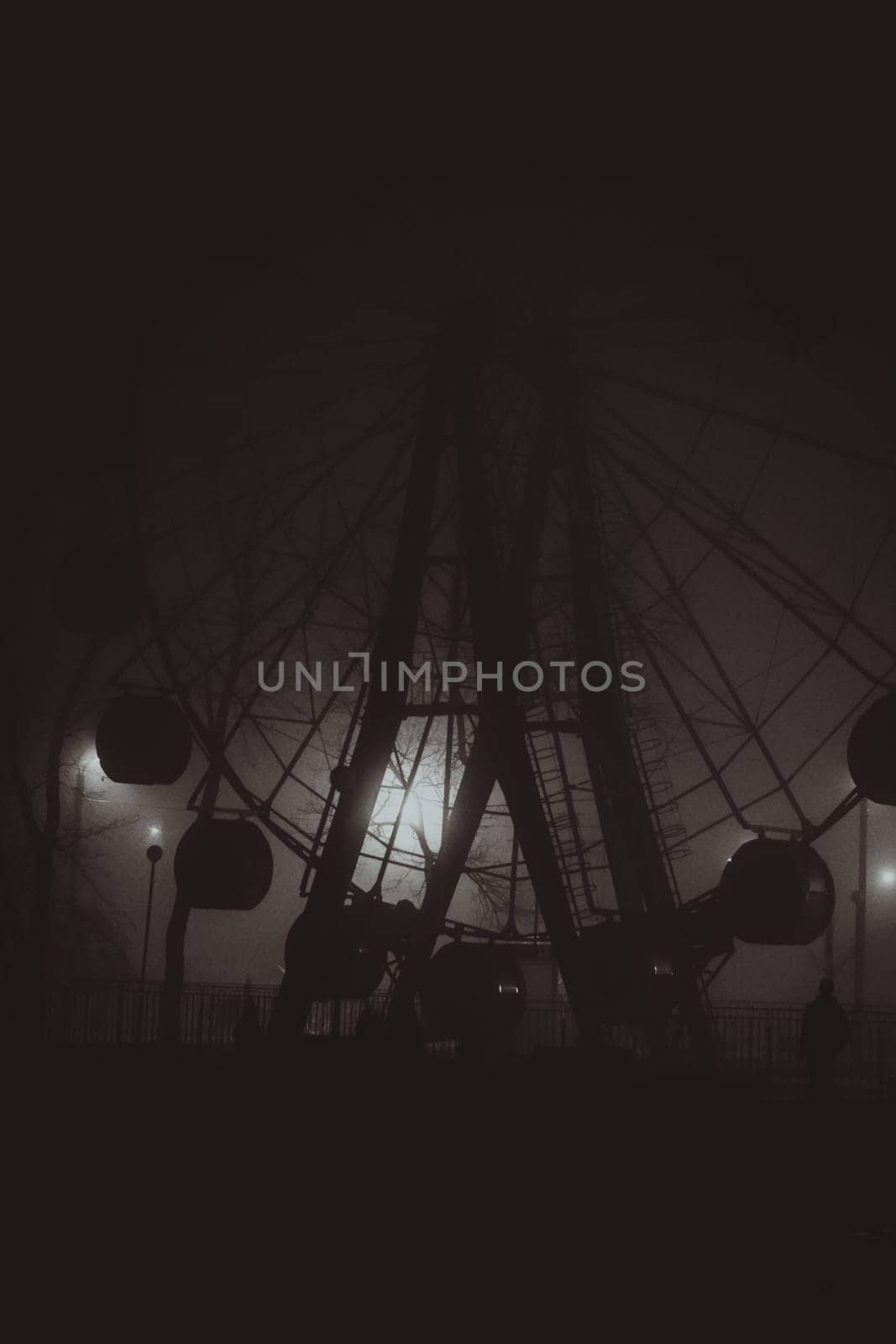 Horror scene of a autumn fog. LIGHTING FILM NOIR STYLE