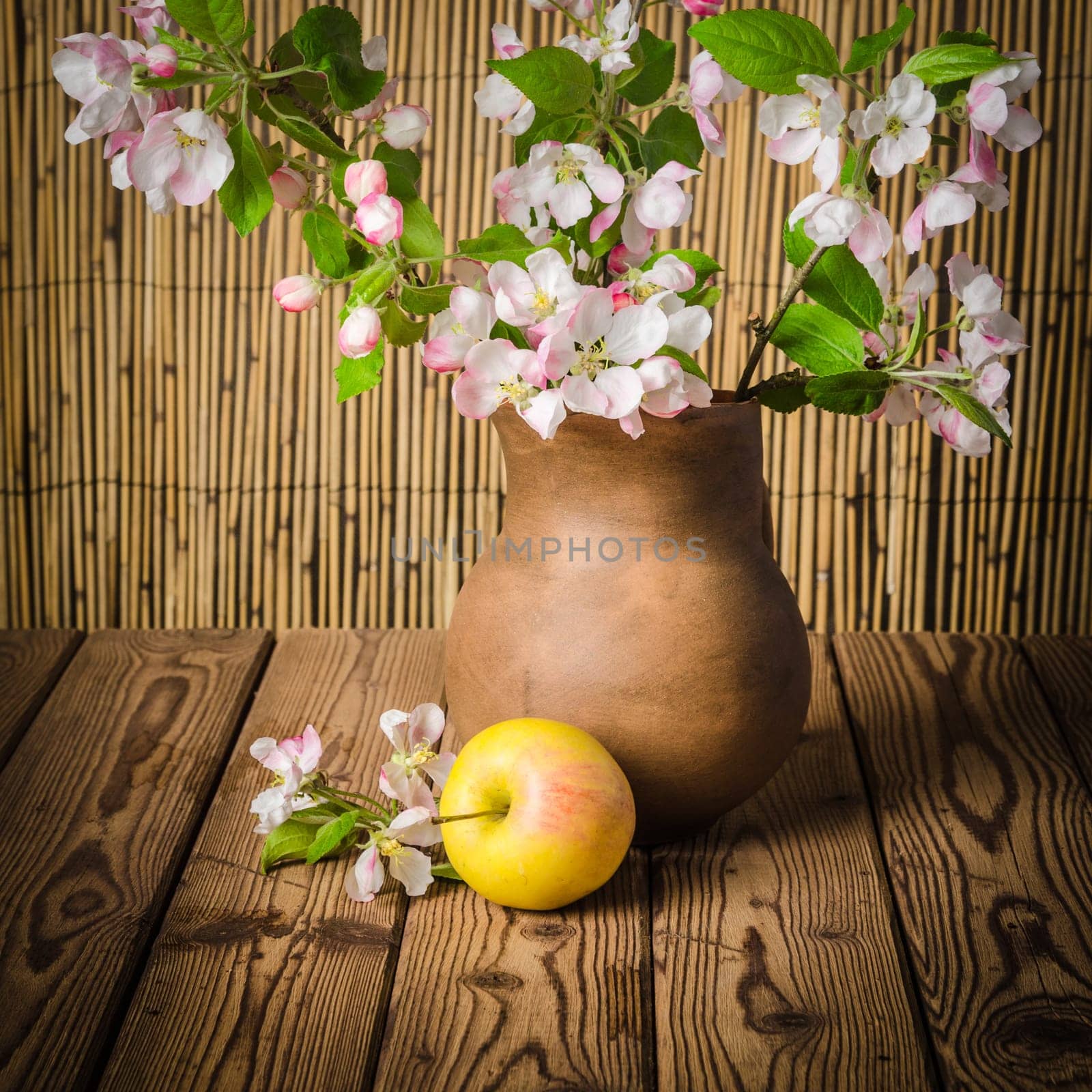 Ripe apple and blossoming branch of an apple-tree in a clay jar, close-up