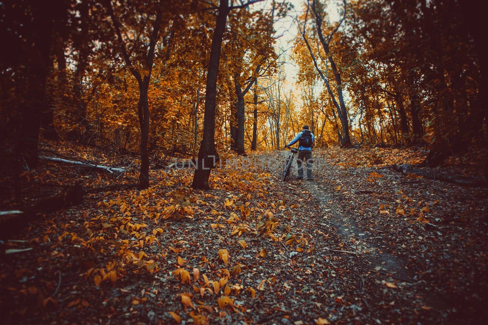 mountain bike race in a forest in denmark