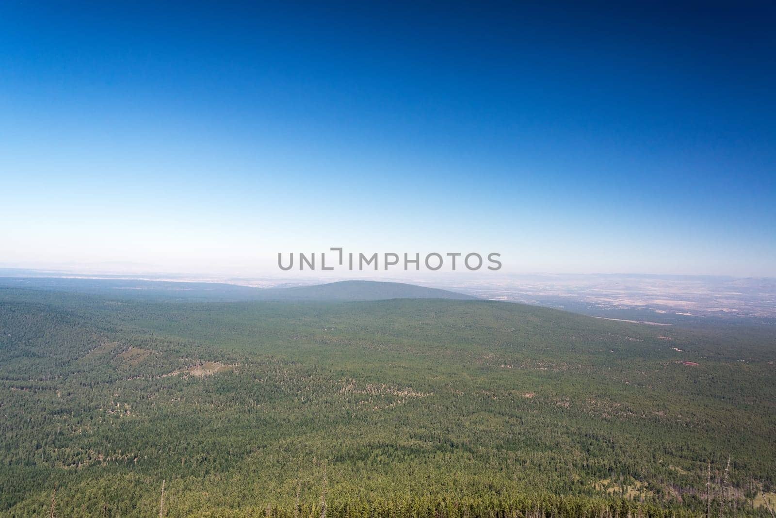 Landscape in Central Oregon with a beautiful blue sky