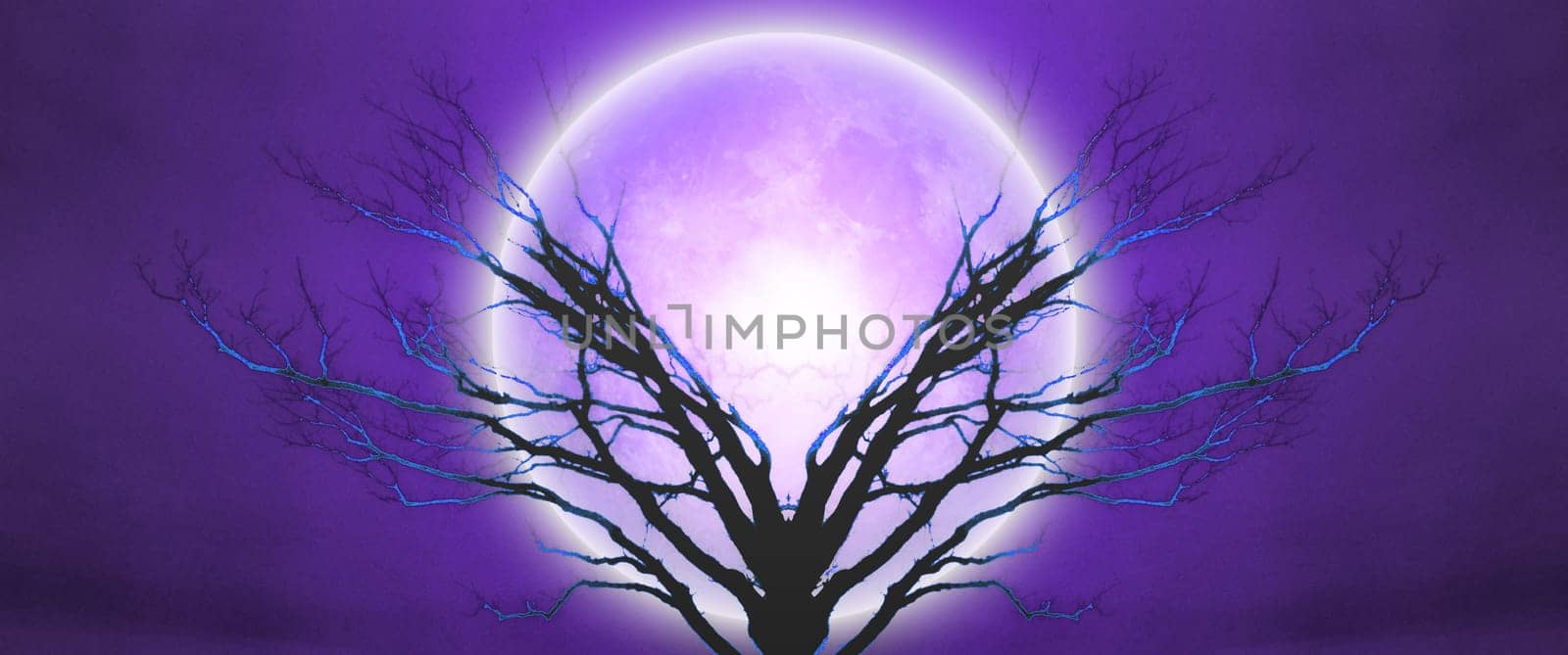 Mystic tree in moonlight.