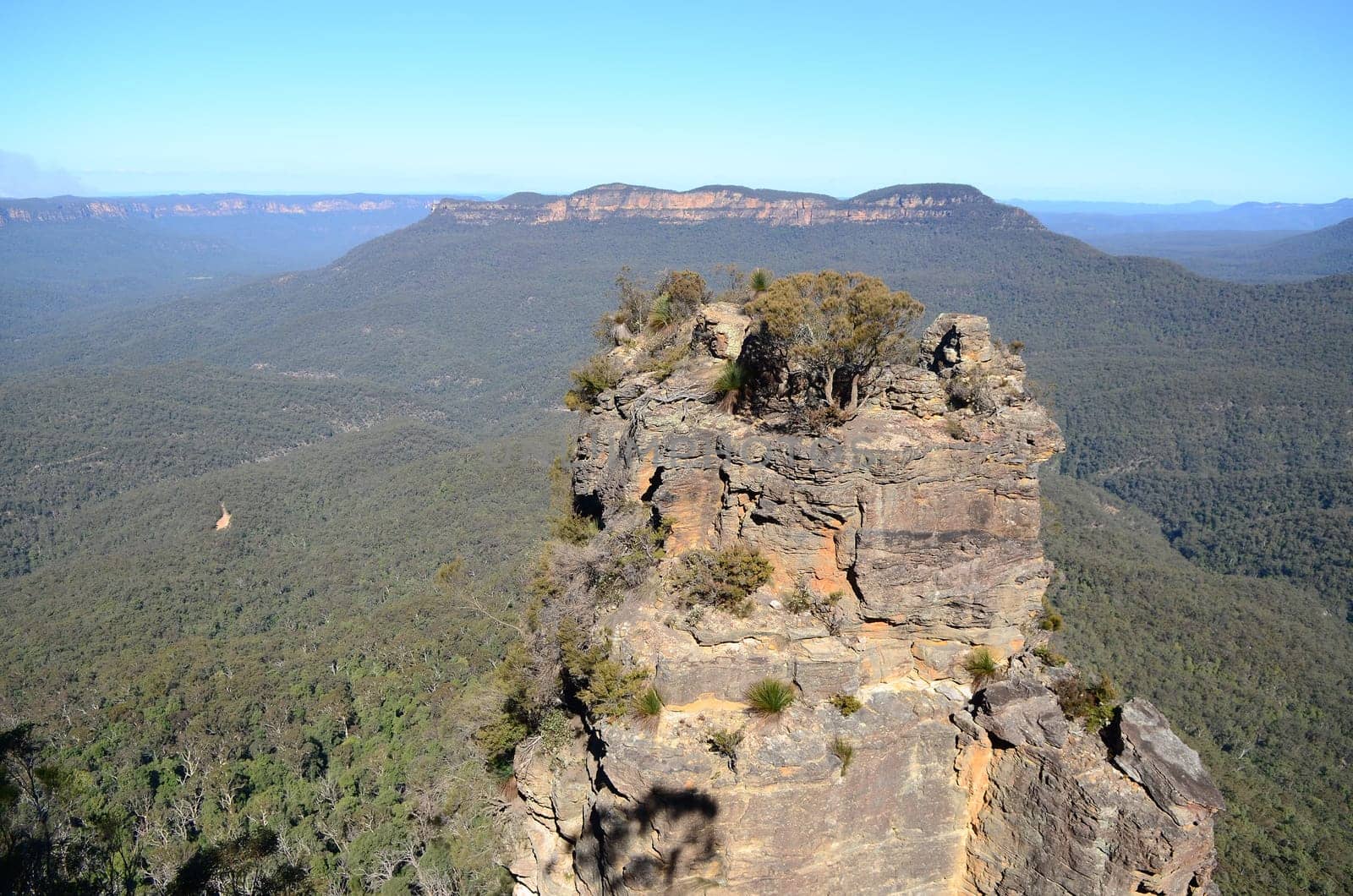 Blue Mountains National Park,Australia.