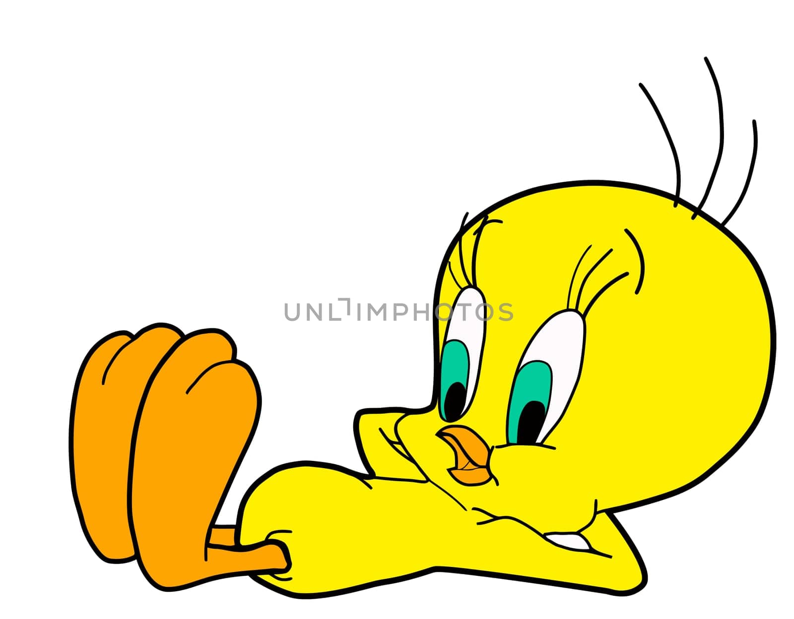 yellow color sleep tweety illustration bird cartoon kids