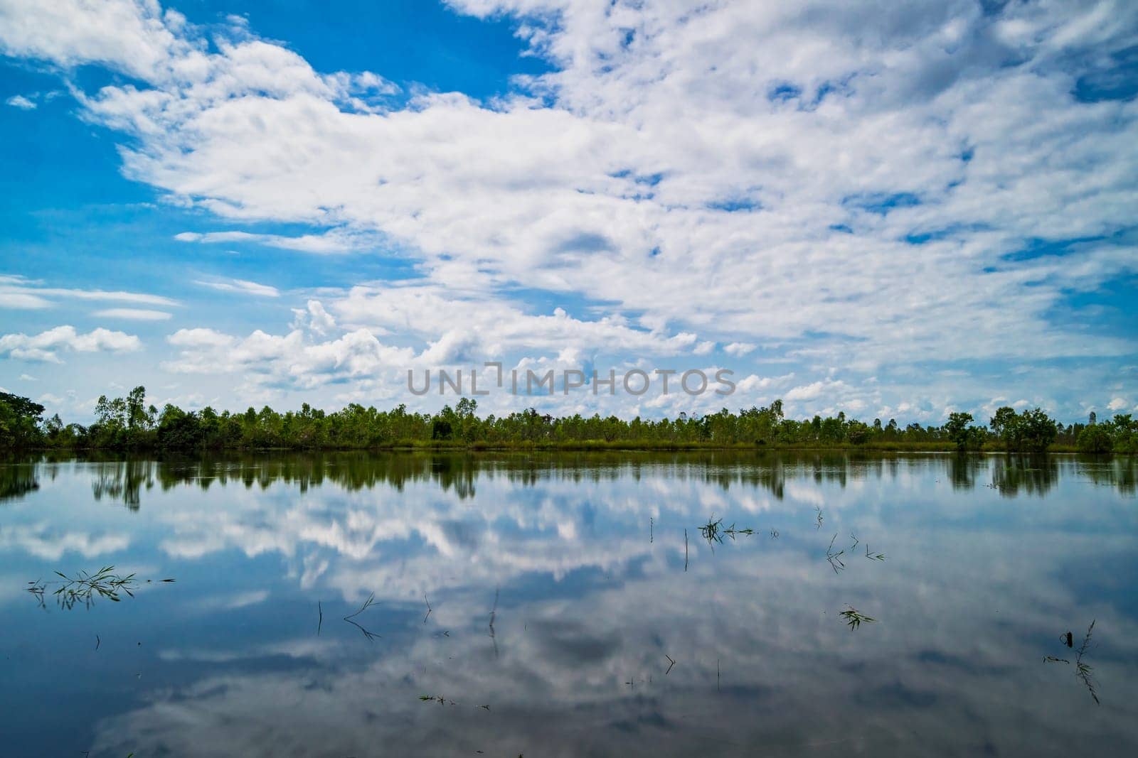 Lake With Reflection Clouds, idyllic landscape with standing water