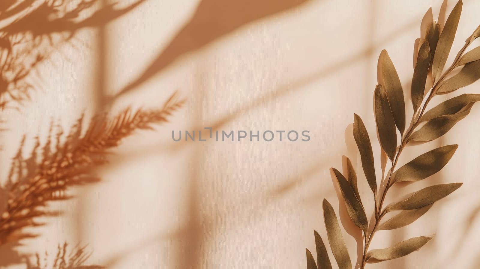 Soft shadows from various green and brown plants dance across a light-colored wall. The warm sunlight creates a peaceful, inviting ambiance perfect for relaxation.