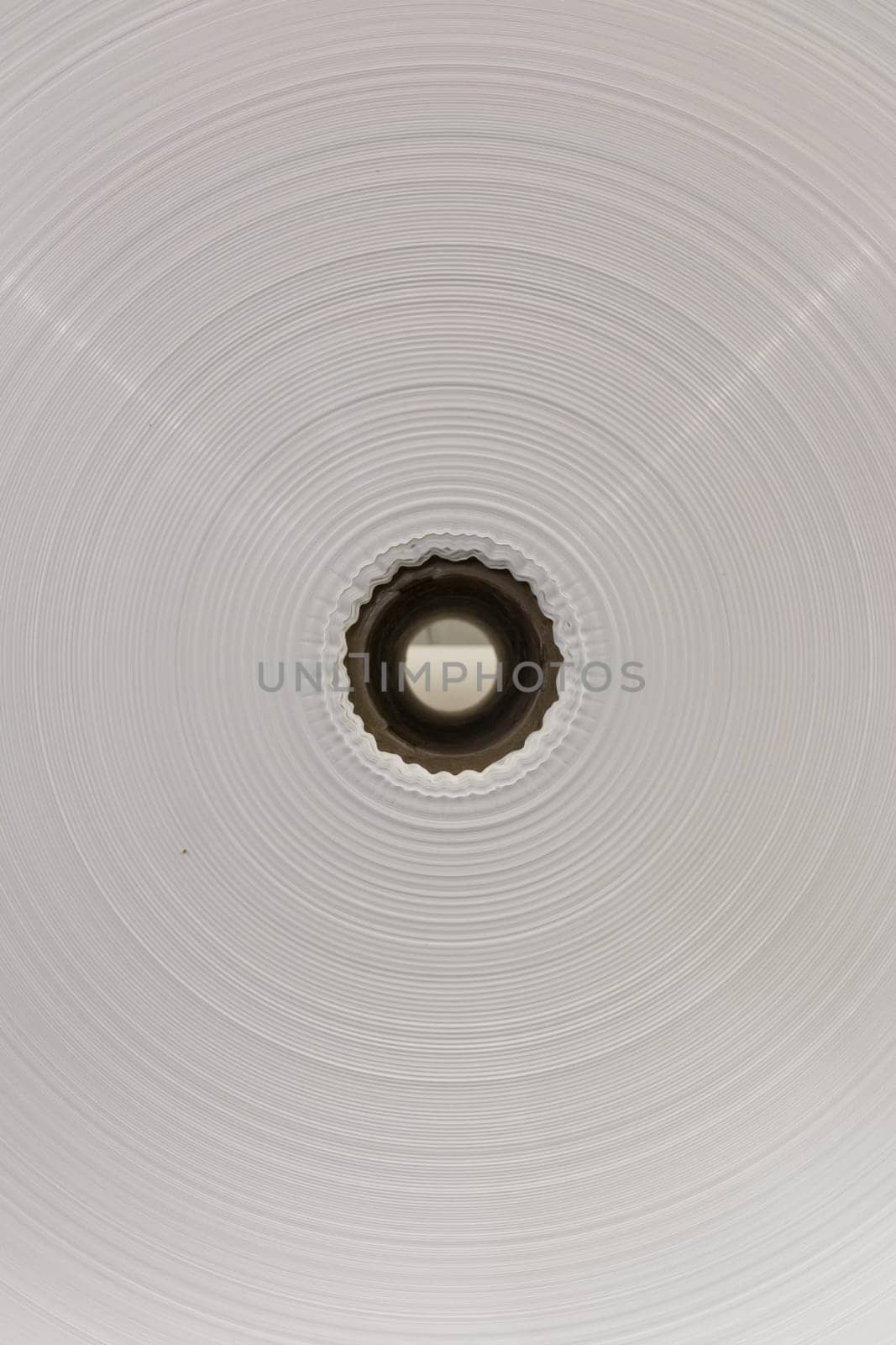 Paper Roll Industrial Printing White Blank Cardboard Tube Detail Closeup