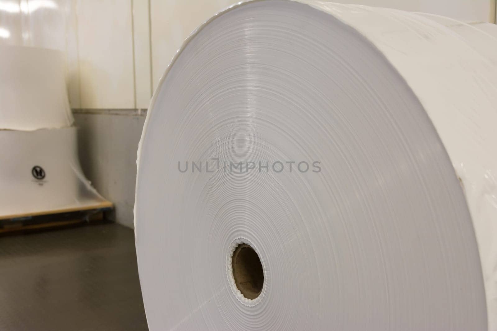 Paper Roll Industrial Printing White Blank Cardboard Tube Detail Closeup