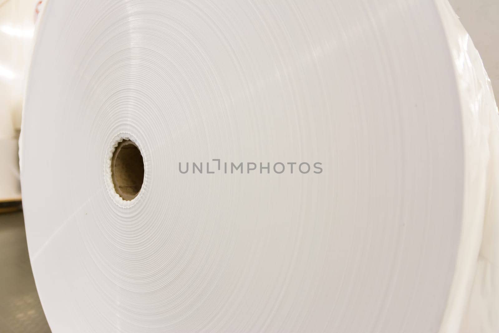 Paper Roll Industrial Printing White Blank Cardboard Tube Detail Closeup