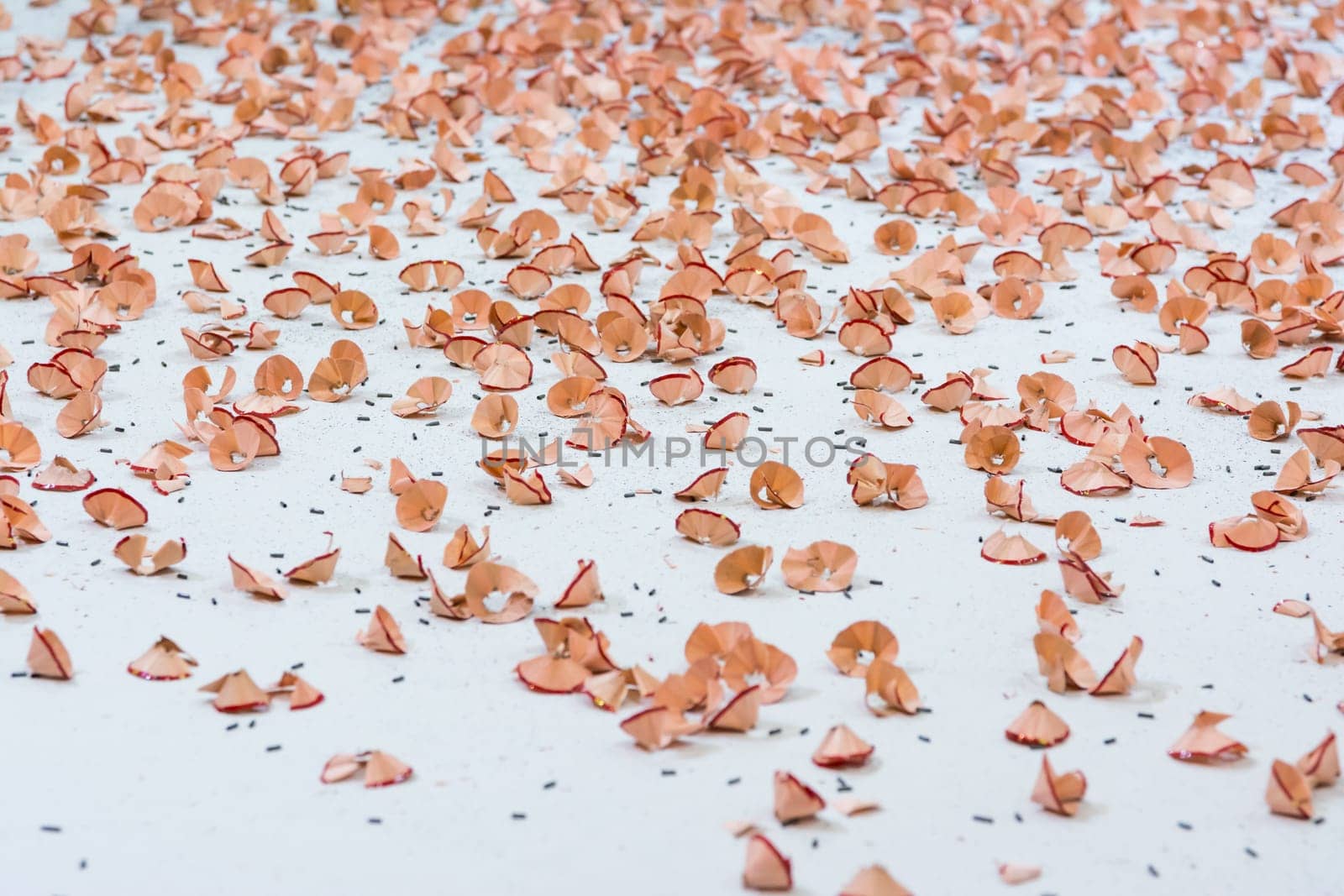 Red Pencil Shavings Closeup Texture Background White Pieces Dust Art Drawing Pieces