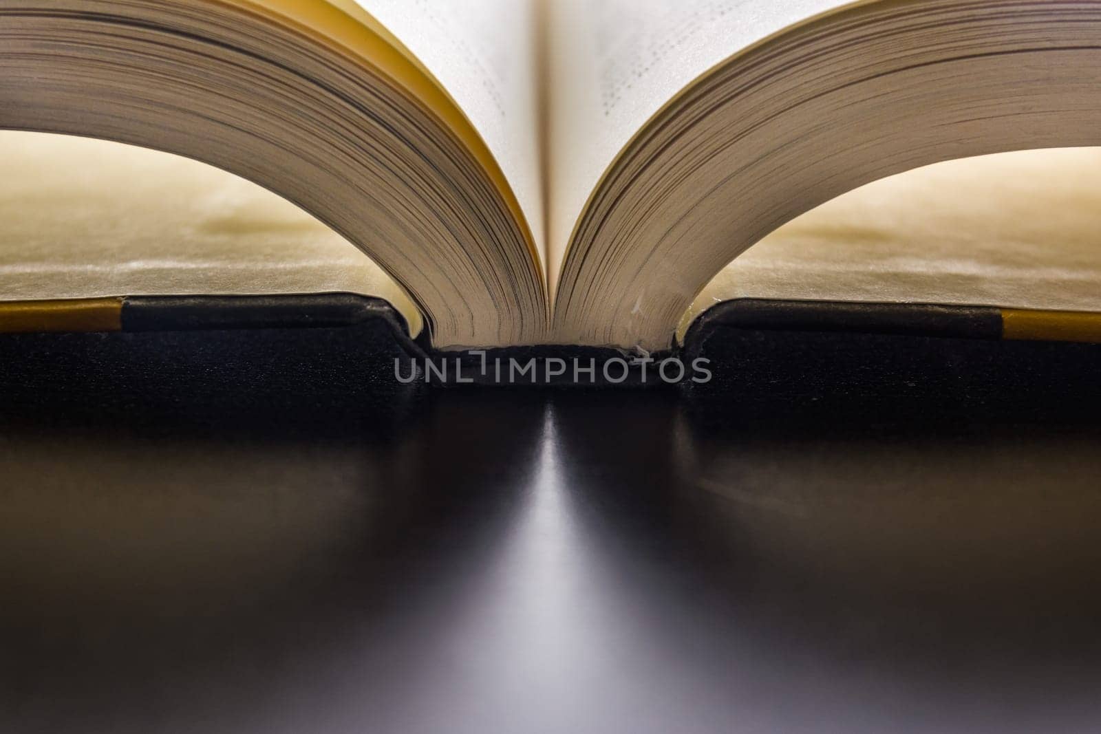 Book Pages Binding Spine Reading Flipping New Words Black Desk Bright