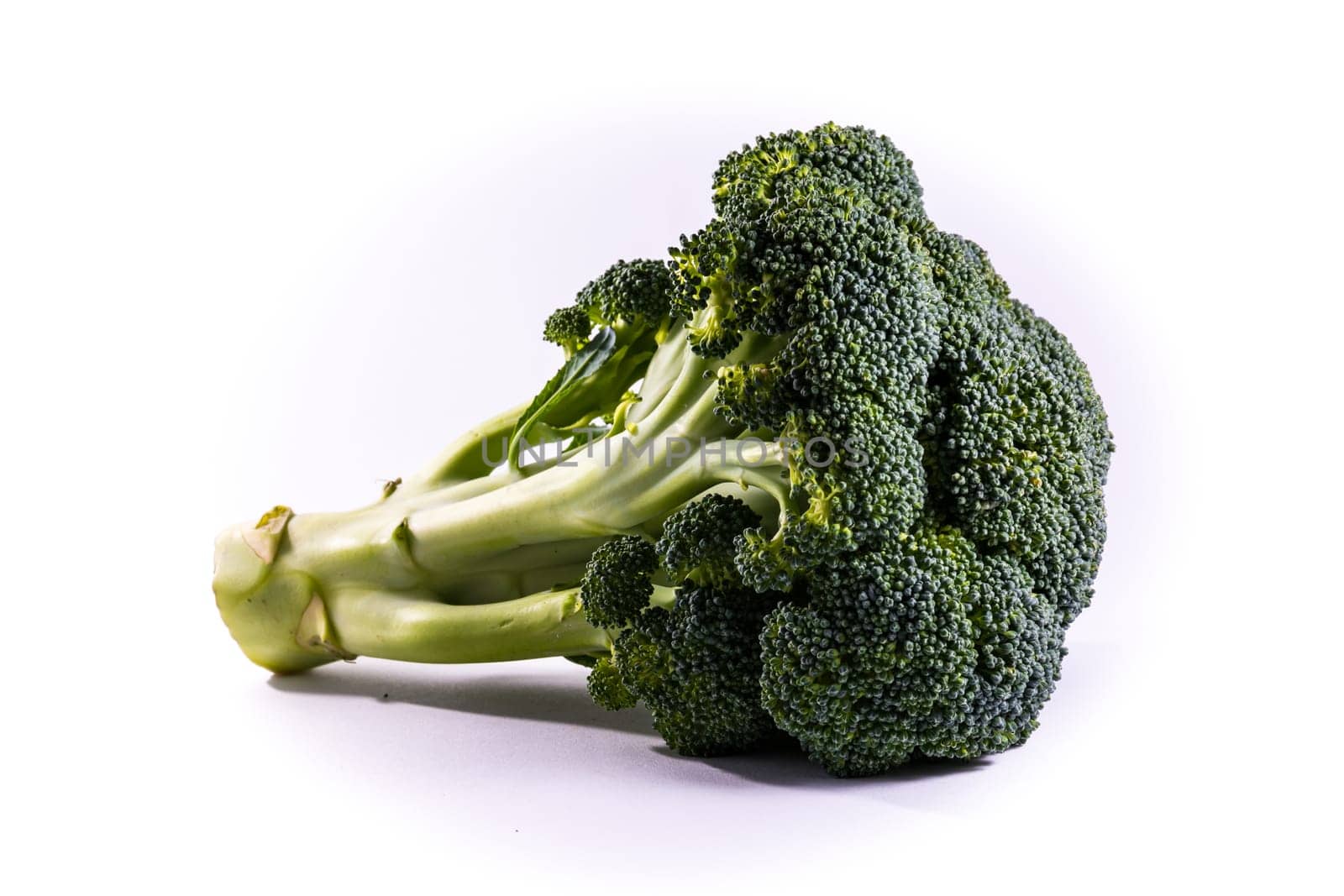 Single Brocoli Stem Top Bush Vegetable Fresh Cooking Raw Ingredient Isolated White Background Detail Closeup
