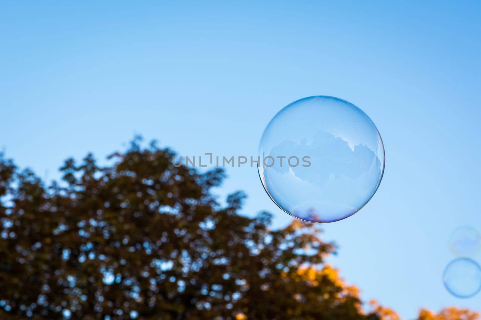 Single Round Circular Soap Bubble Blue Sky Nature Background Orange Tree Autumn Seasonal Floating Air Shiny