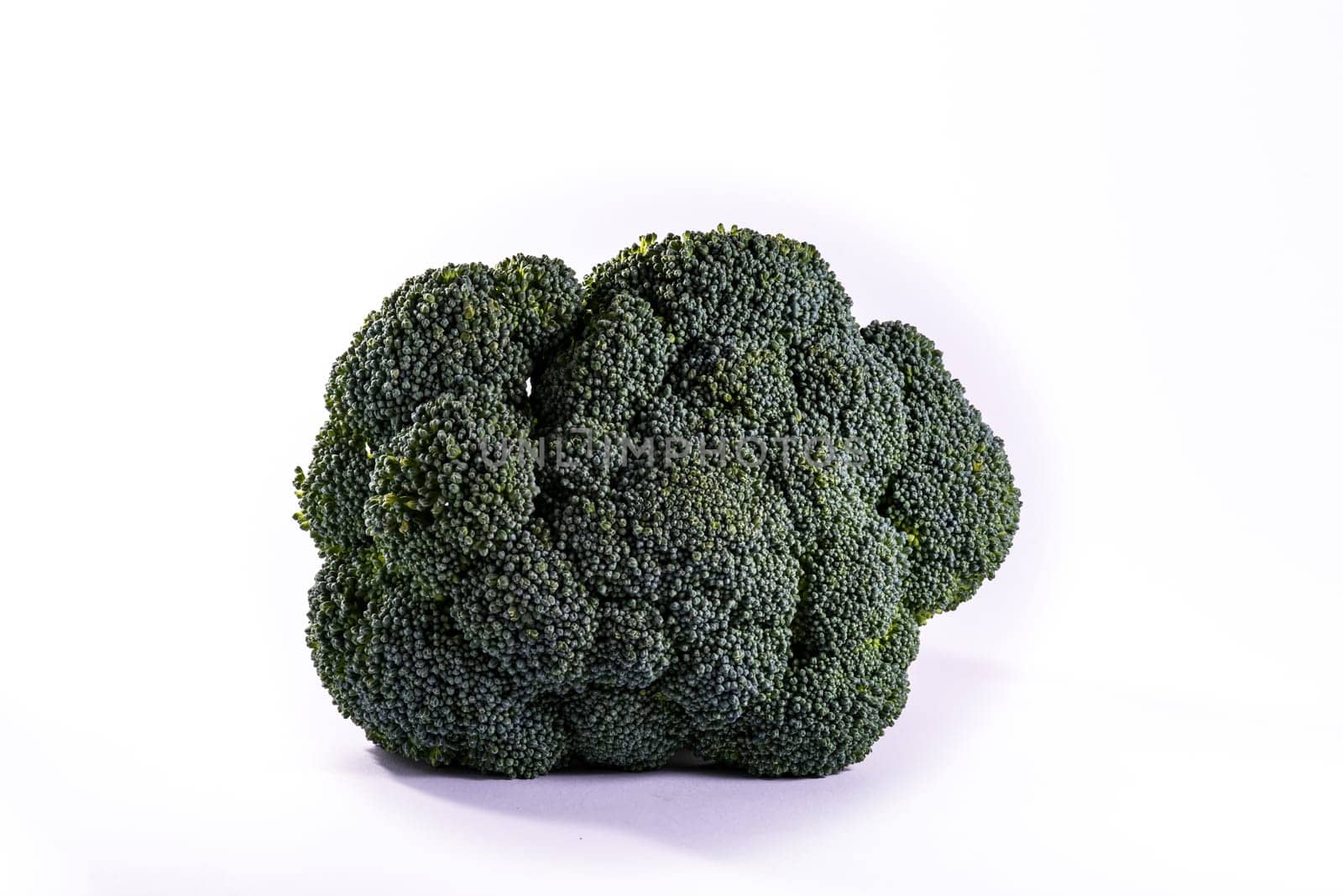 Single Brocoli Stem Top Bush Vegetable Fresh Cooking Raw Ingredient Isolated White Background Detail Closeup