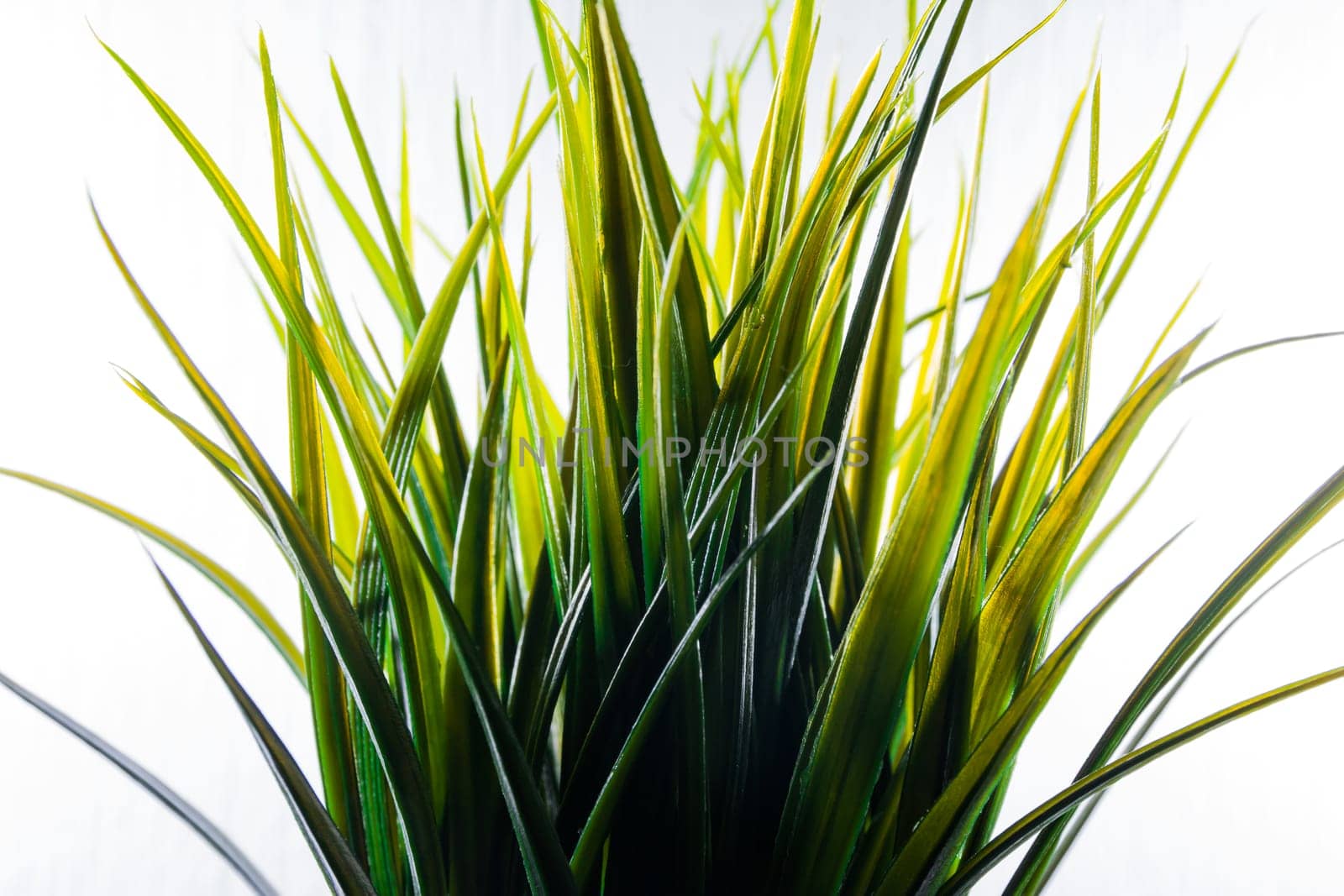 Artificial Grass Plastic Green Light Isolated White Background Decoration