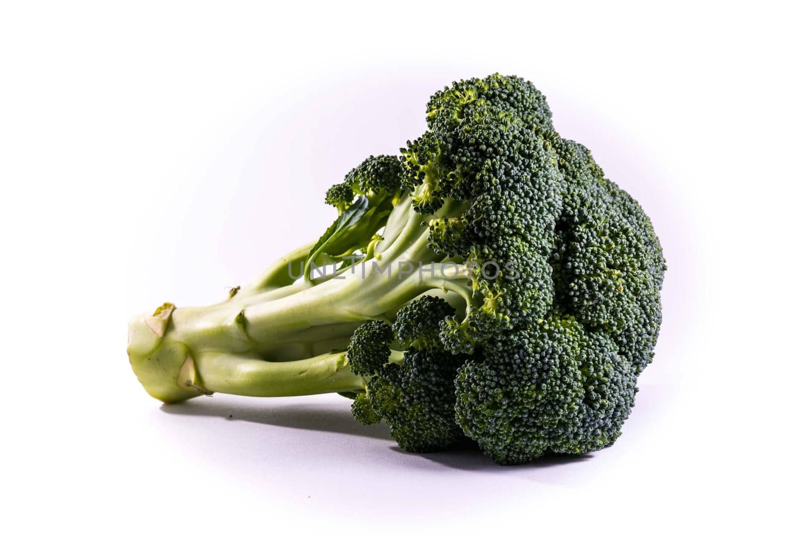 Single Brocoli Stem Top Bush Vegetable Fresh Cooking Raw Ingredient Isolated White Background Detail Closeup