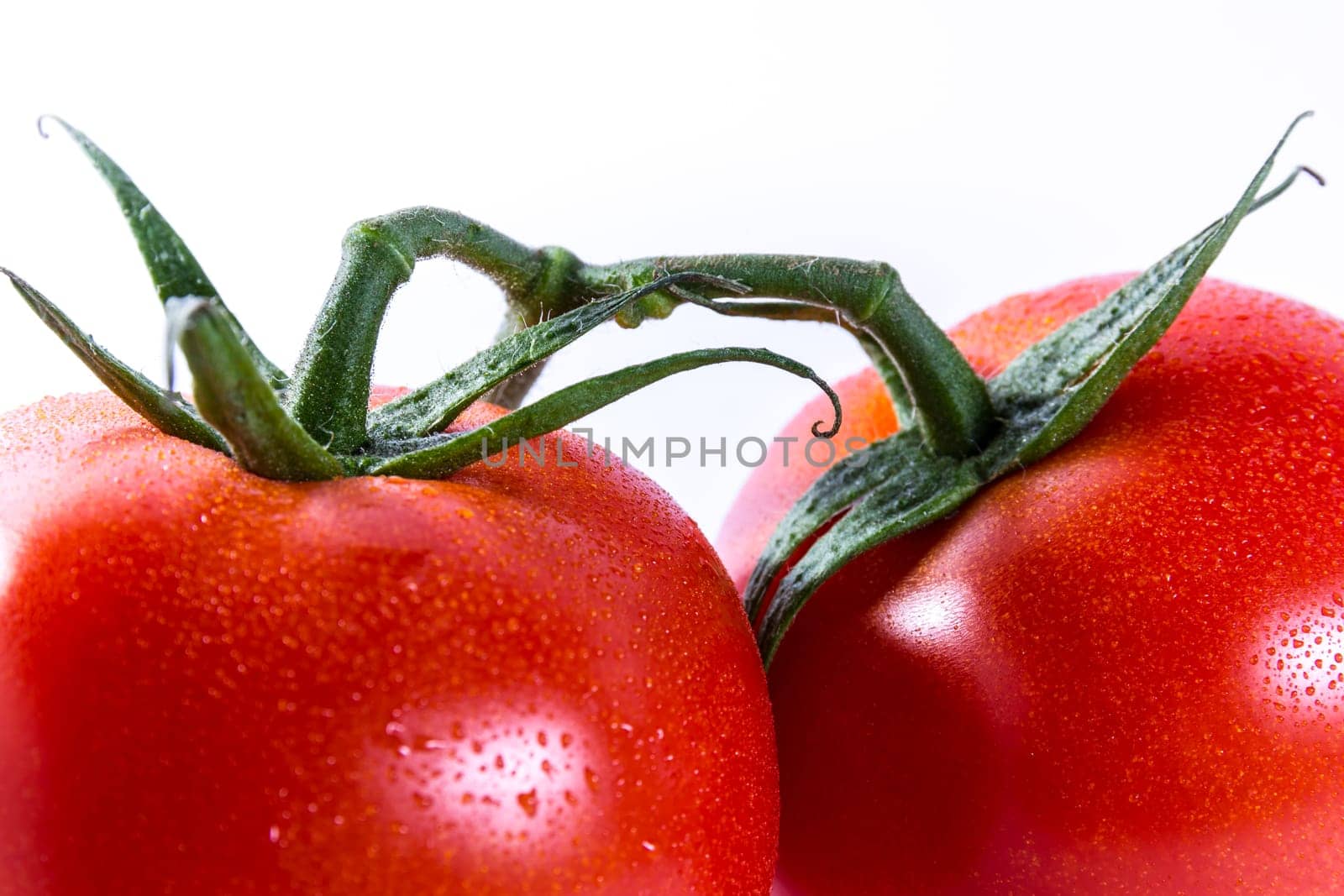 Couple Two Tomatoes Connected Stems Fresh Vegetables Cooking Ingredient Isolated White Background