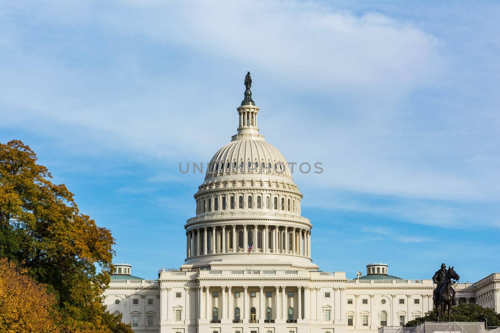 Daytime Landscape US Capitol Building Washington DC Grass Blue Sky