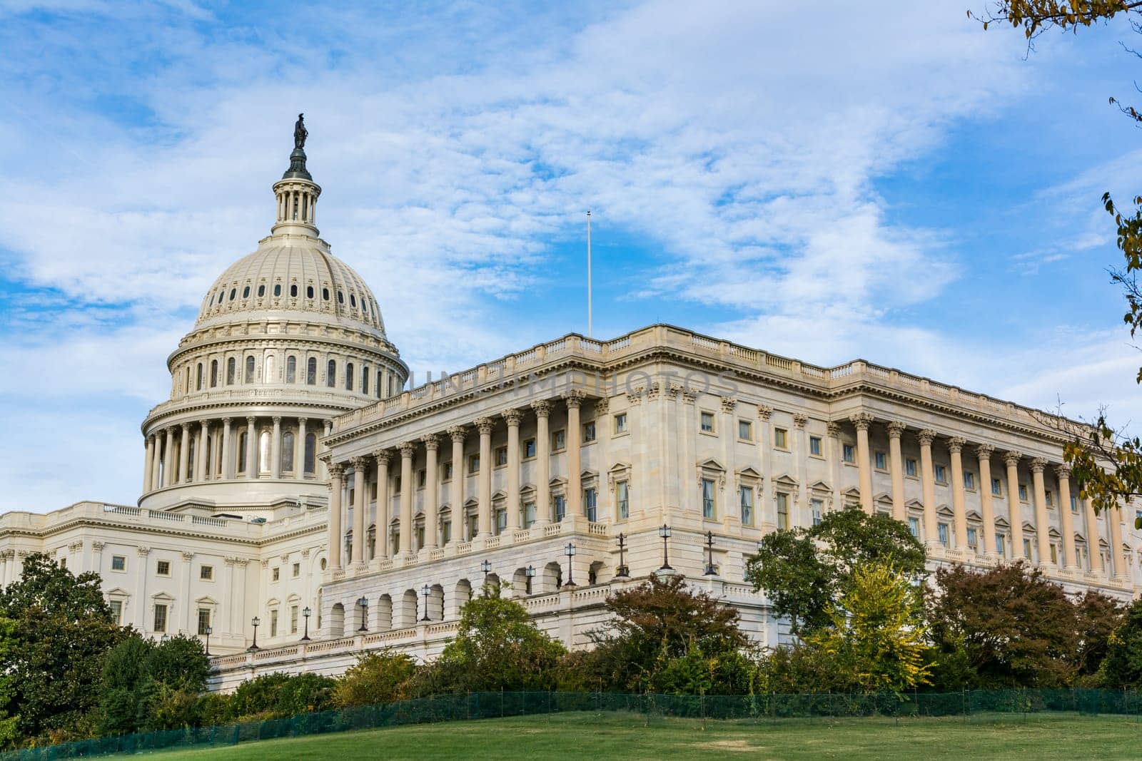 Daytime Landscape US Capitol Building Washington DC Grass Blue Sky