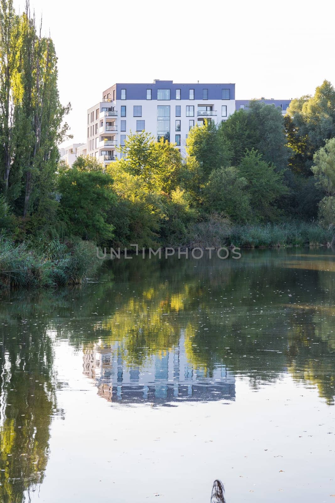 Modern European Architecture Small Pond Park Sunset