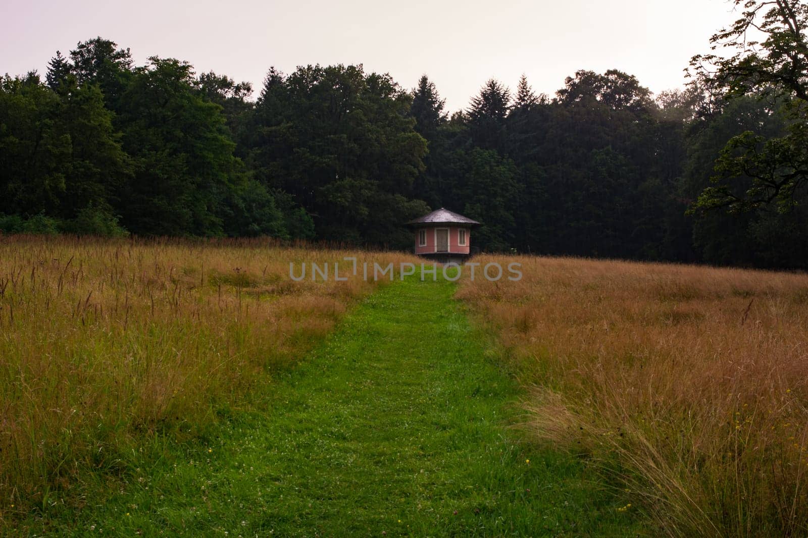 Natural Grassy Path Leading through Field to Small Red Hut in Woods