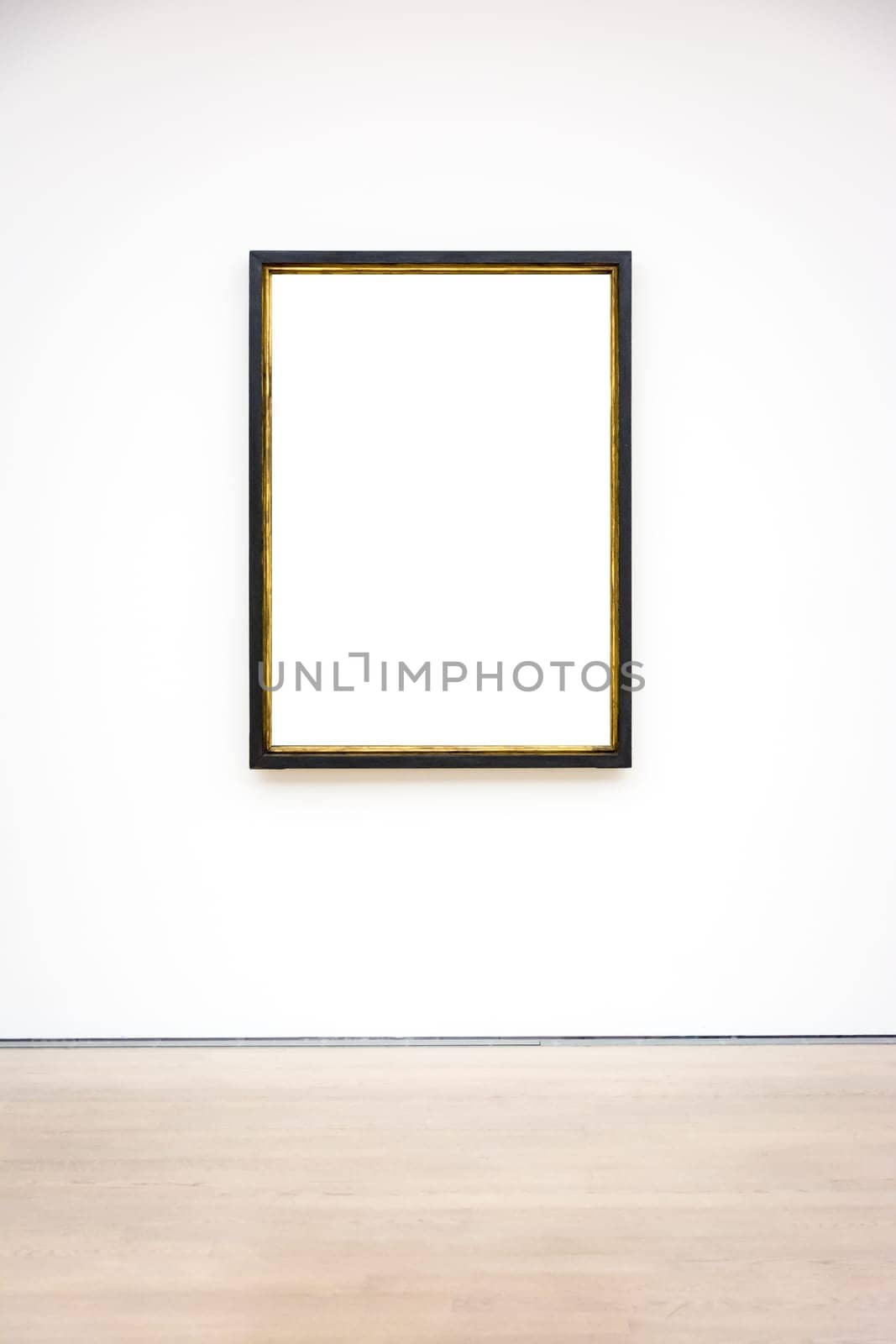 Modern Art Museum Frame Wall Clipping Path Isolated White Vector Illustration Template